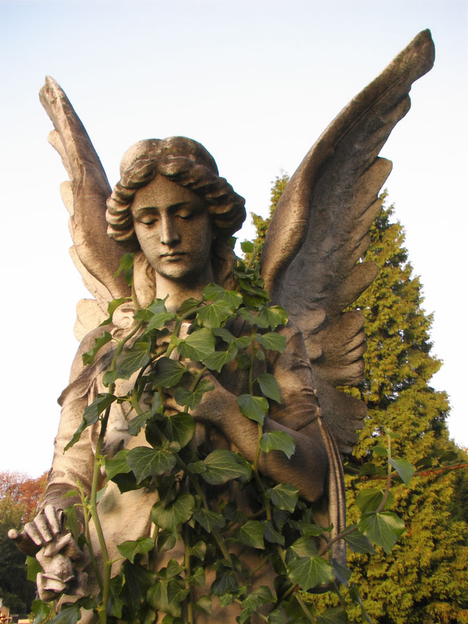 angel with vines