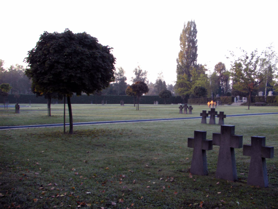 field of crosses