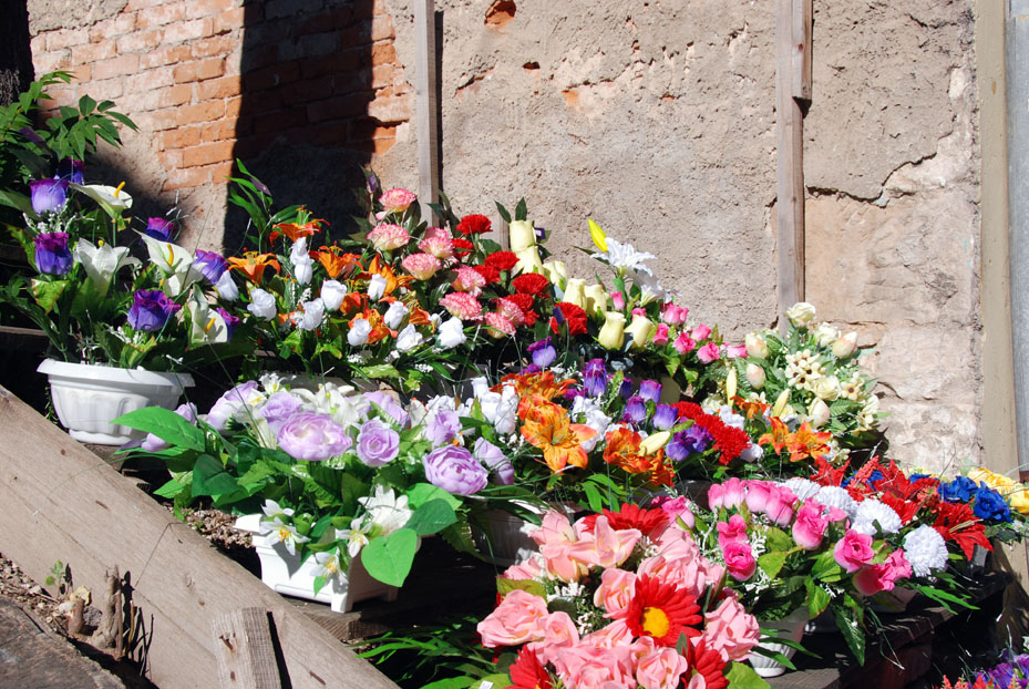 flowers in Mostar