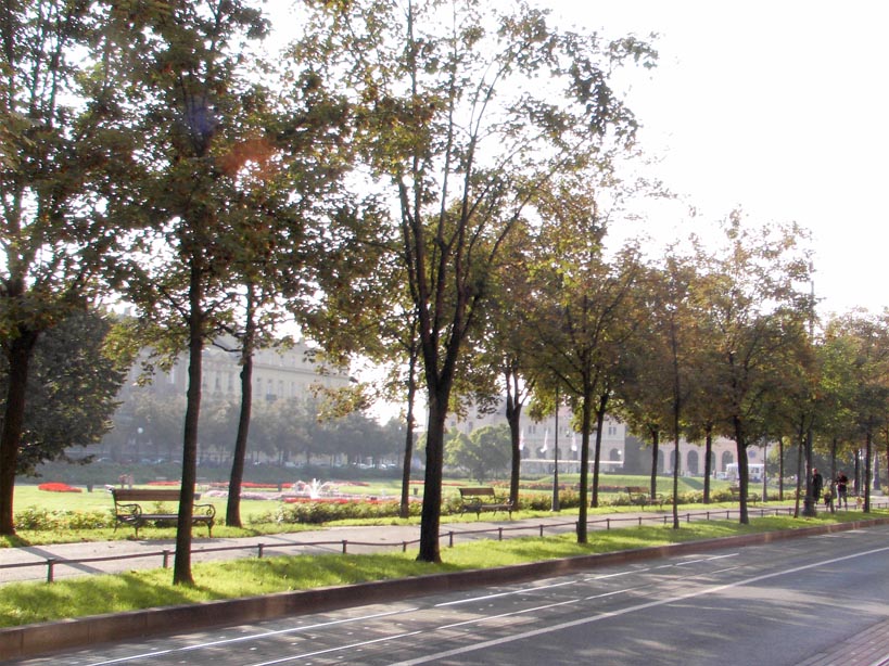 tree lined park and street